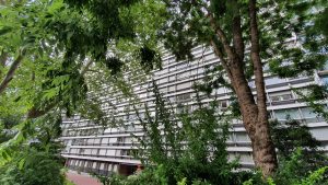 19, rue Emile Dubois à Paris